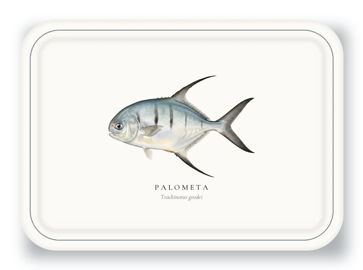 Serving Platter with Palometa illustration