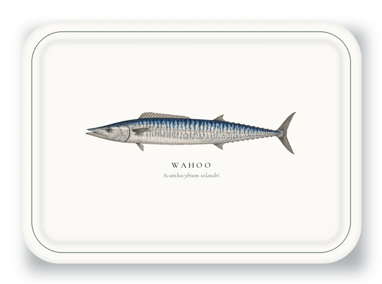 Serving Platter with Wahoo illustration