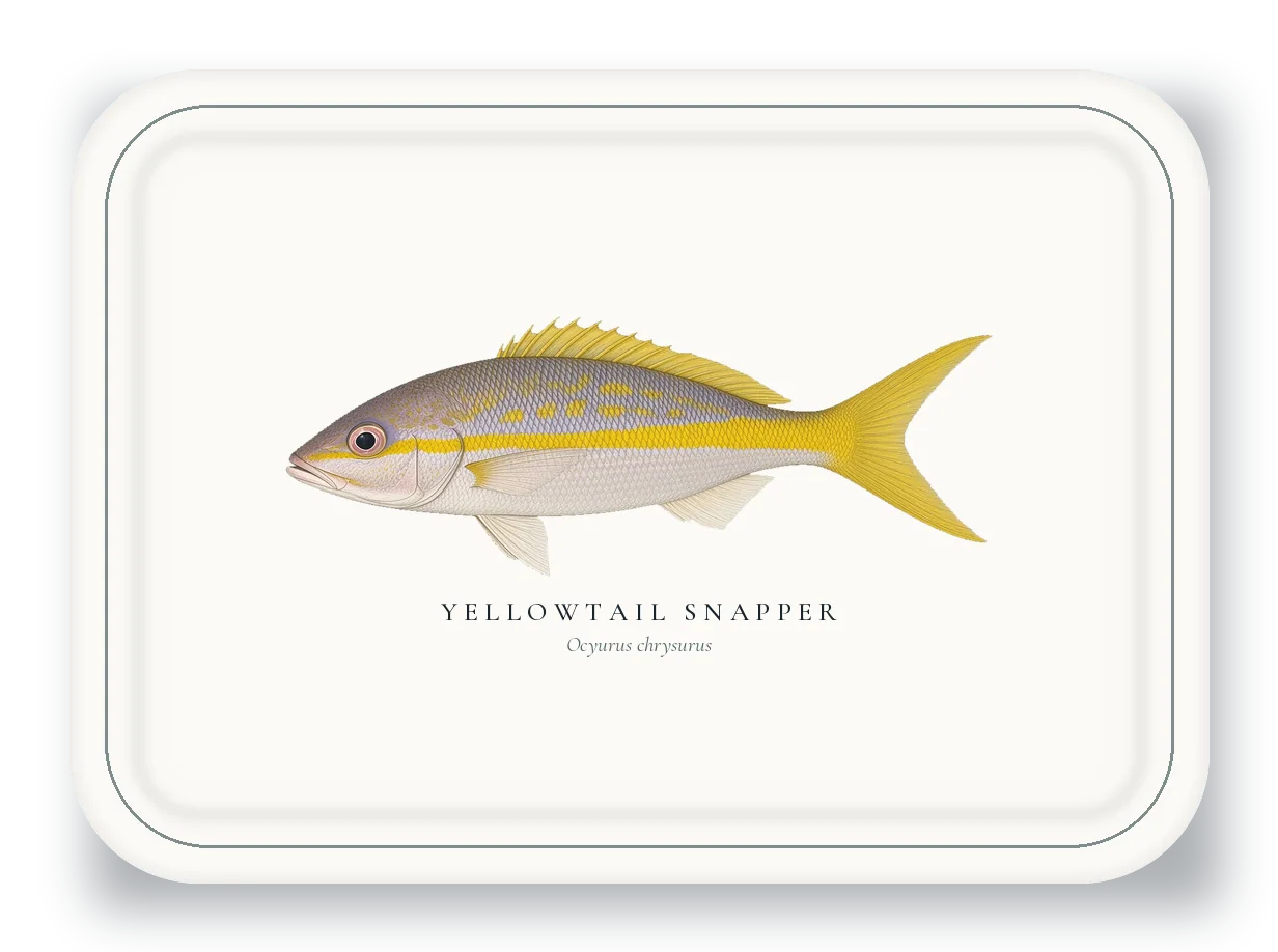 Serving Platter with Yellowtail Snapper illustration