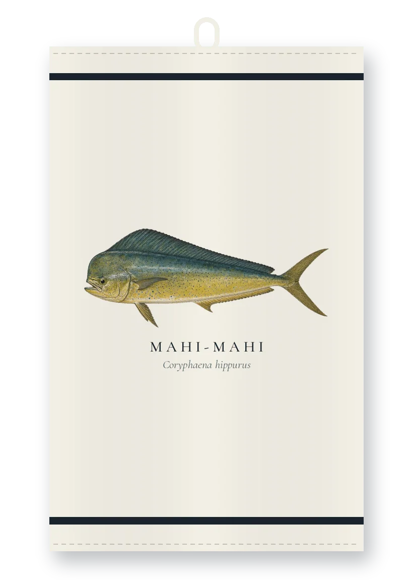 Tea Towel with Mahi-mahi illustration